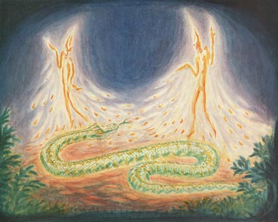 Daniël van Bemmelen